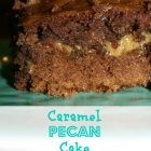 Caramel Pecan Cake