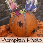 Pumpkin Photo Display