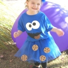 How to Make a Cookie Monster Costume