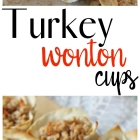 Turkey Wonton Cups for Chinese New Year