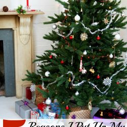 When should you put up your Christmas tree? There is some debate about putting your Christmas tree up before Thanksgiving! Take a look at some fun reasons to put up your Christmas tree EARLY!!