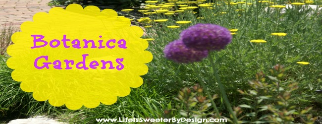 Botanica