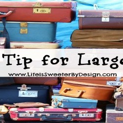travel tip for large families