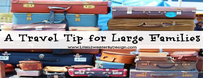 travel tip for large families