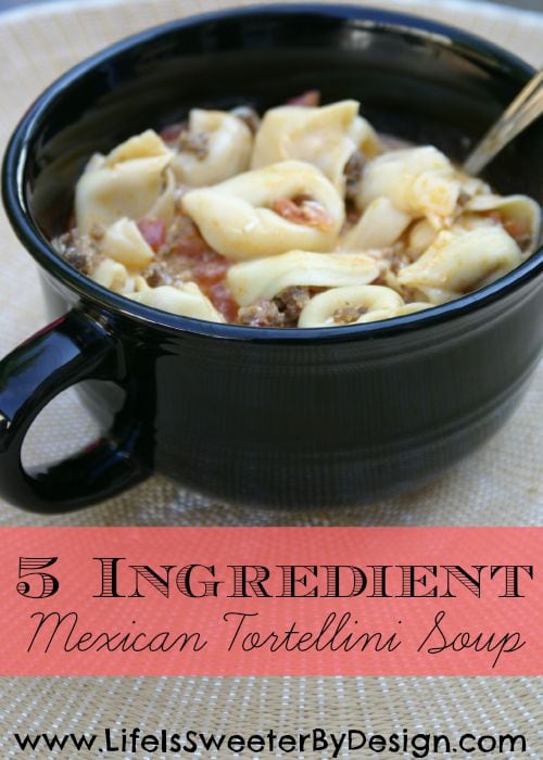 5 Ingredient Mexican Tortellini Soup