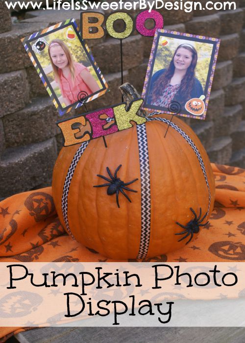 pumpkin photo display