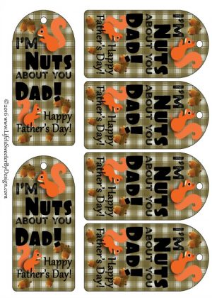 I'm Nuts About You Dad Father's Day Gift - Life is Sweeter By Design