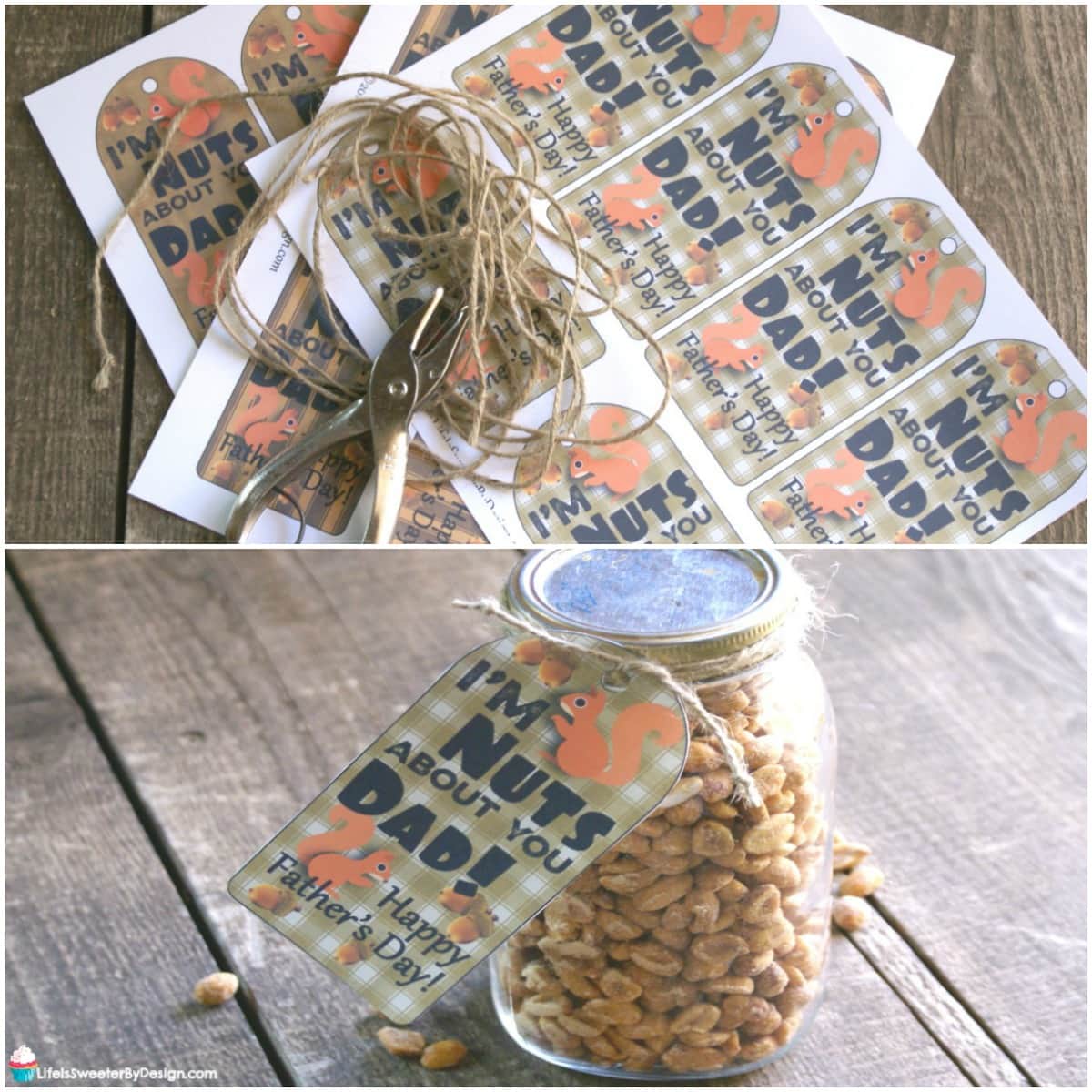 I'm Nuts About You Dad Father's Day Gift - Life is Sweeter By Design