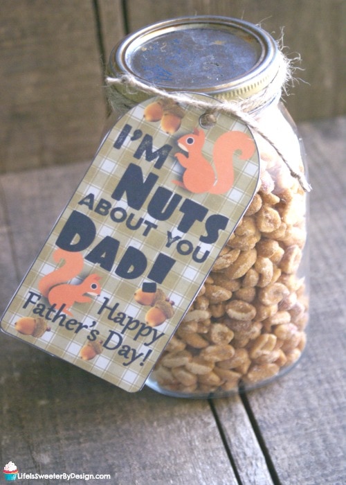 I'm Nuts About You Dad