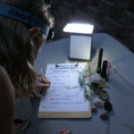Flashlight Scavenger Hunt