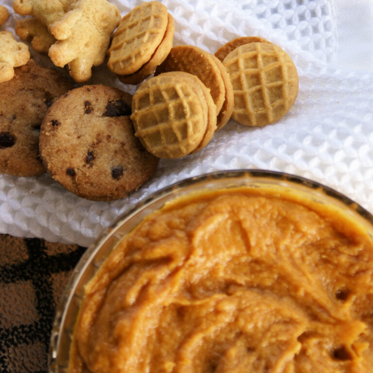fall pumpkin dip