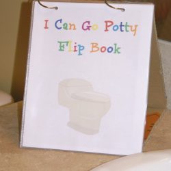 potty training flip book