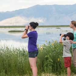 Best place for families to go bird watching