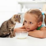 Cat Care Tips for Kids