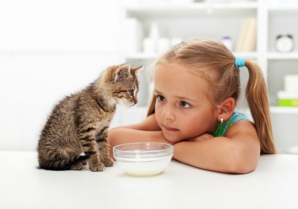 cat care for kids