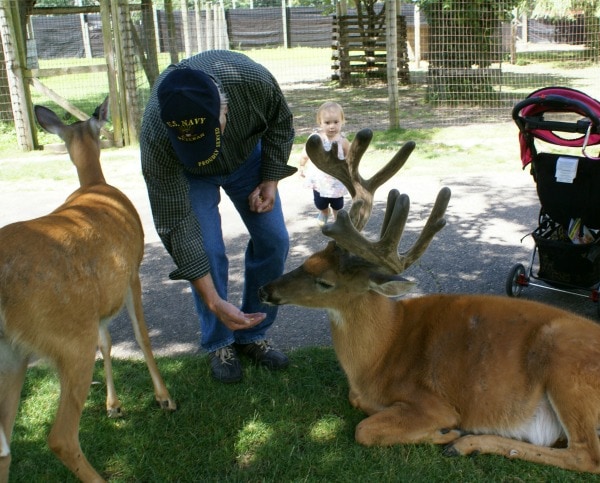 why we loved the Wisconsin Deer Park