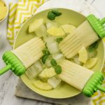 Weight Watchers Pina Colada Popsicles