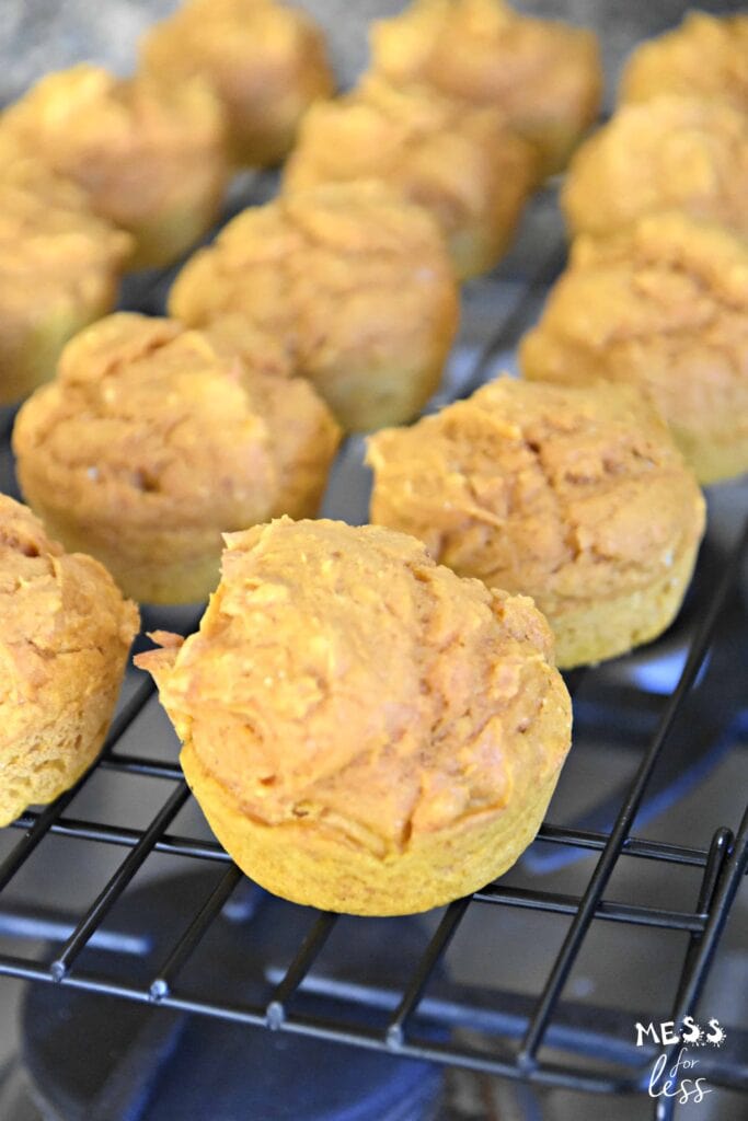 pumpkin muffins on a baking tray