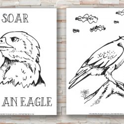 Eagle Color Pages