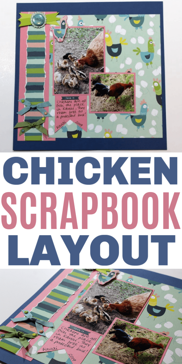 chicken scrapbook layout