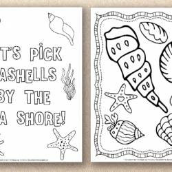 seashell color pages