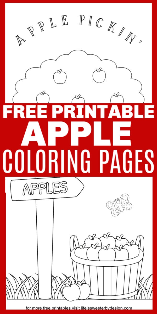 apple coloring pages