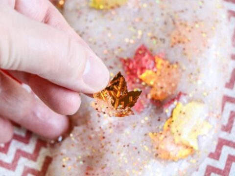 fall slime with leaves