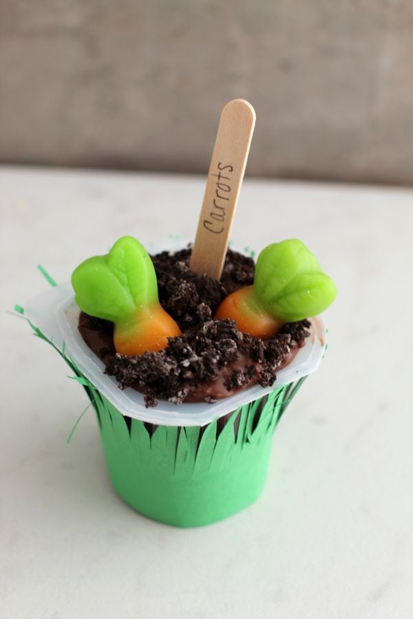Garden Pudding Cups