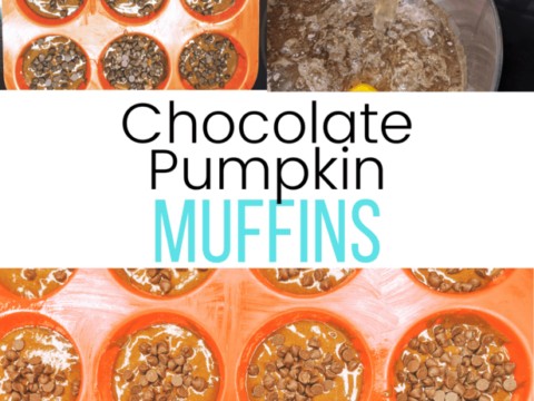 chocolate pumpkin muffins