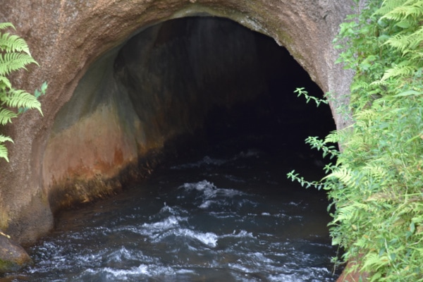 tunnels in Kauai Mountain Tubing Adventure