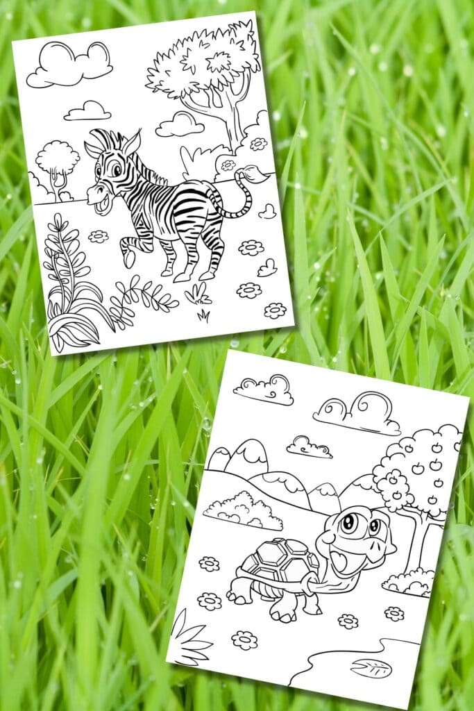 cute zebra and turtle coloring pages