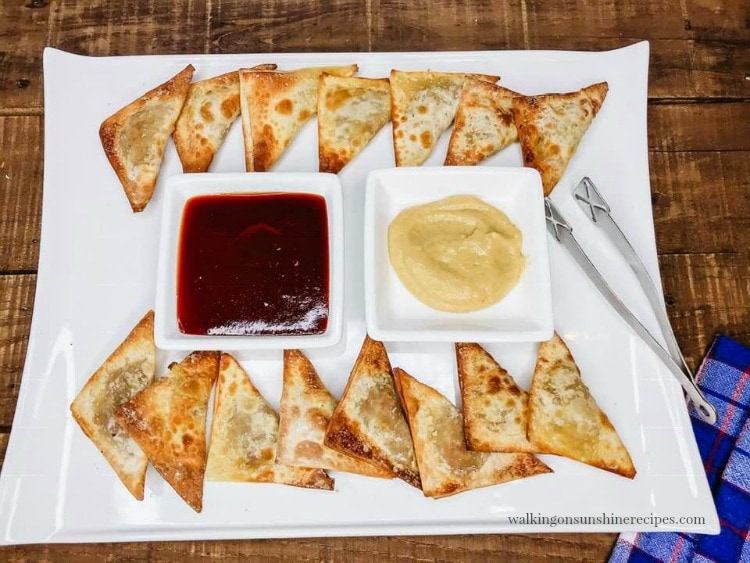 veggie wontons on a serving platter with some dip