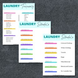 Daily & Weekly Laundry Schedule