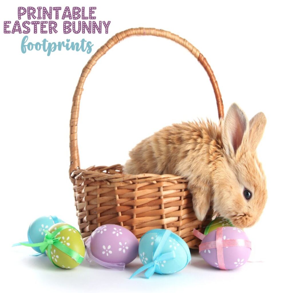 Bunny in a basket with Easter eggs