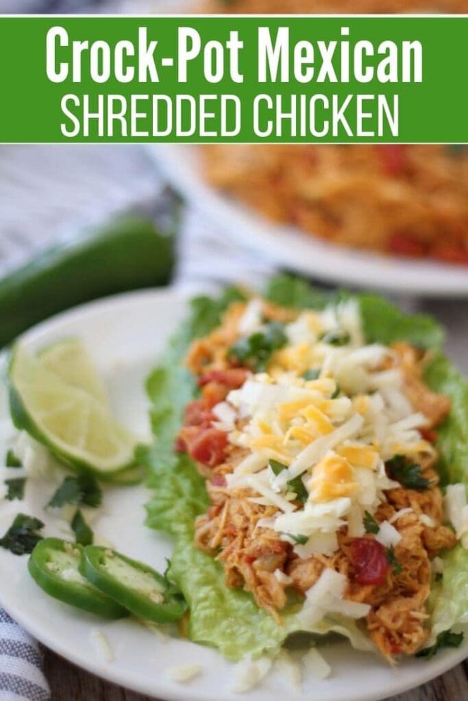 Mexican Shredded Chicken with veggies