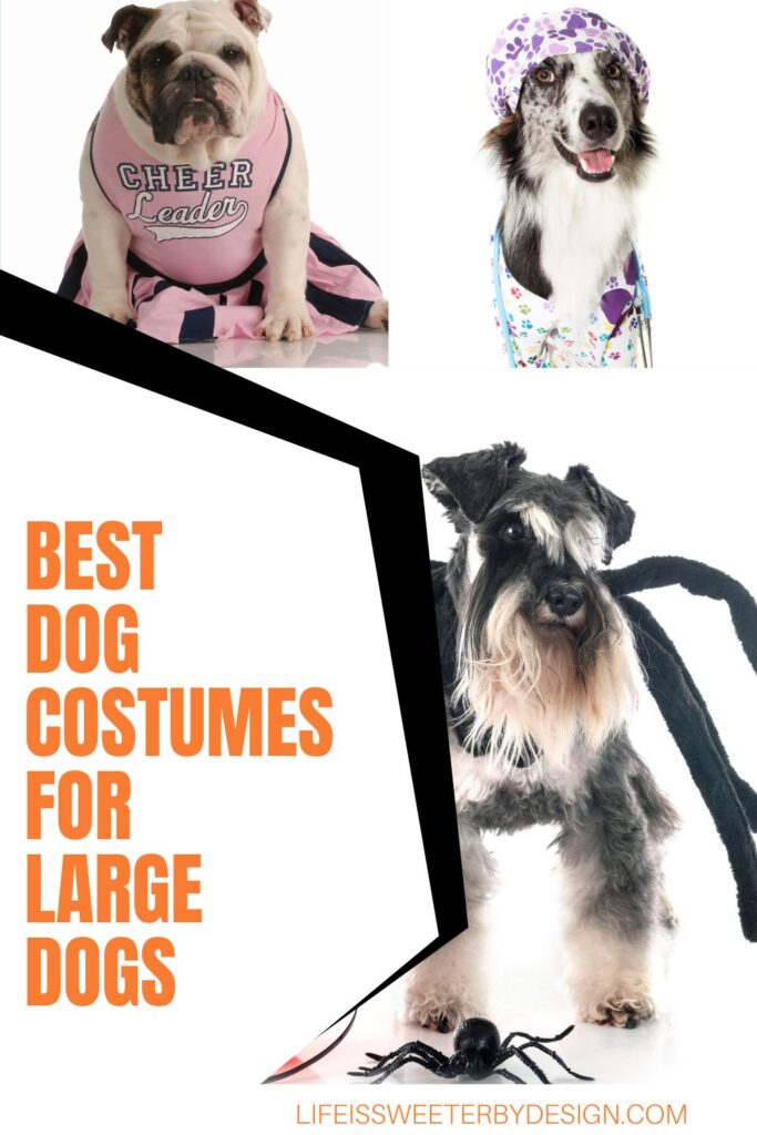 Best Dog Costumes for Large Dogs Pin