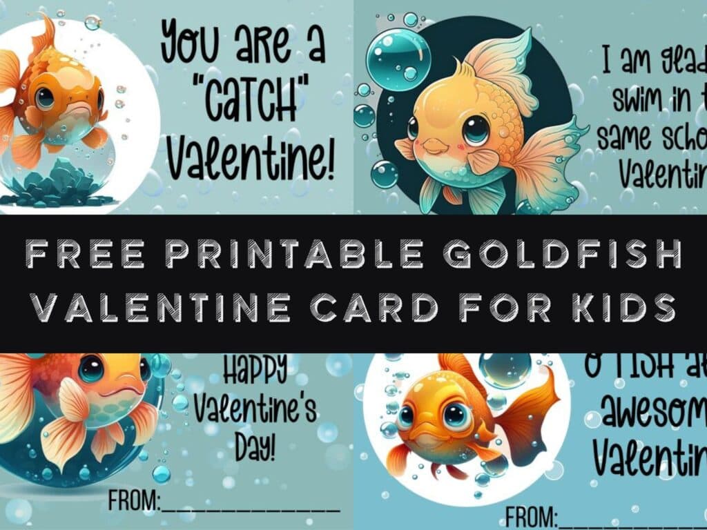 4 designs of goldfish valentine cards