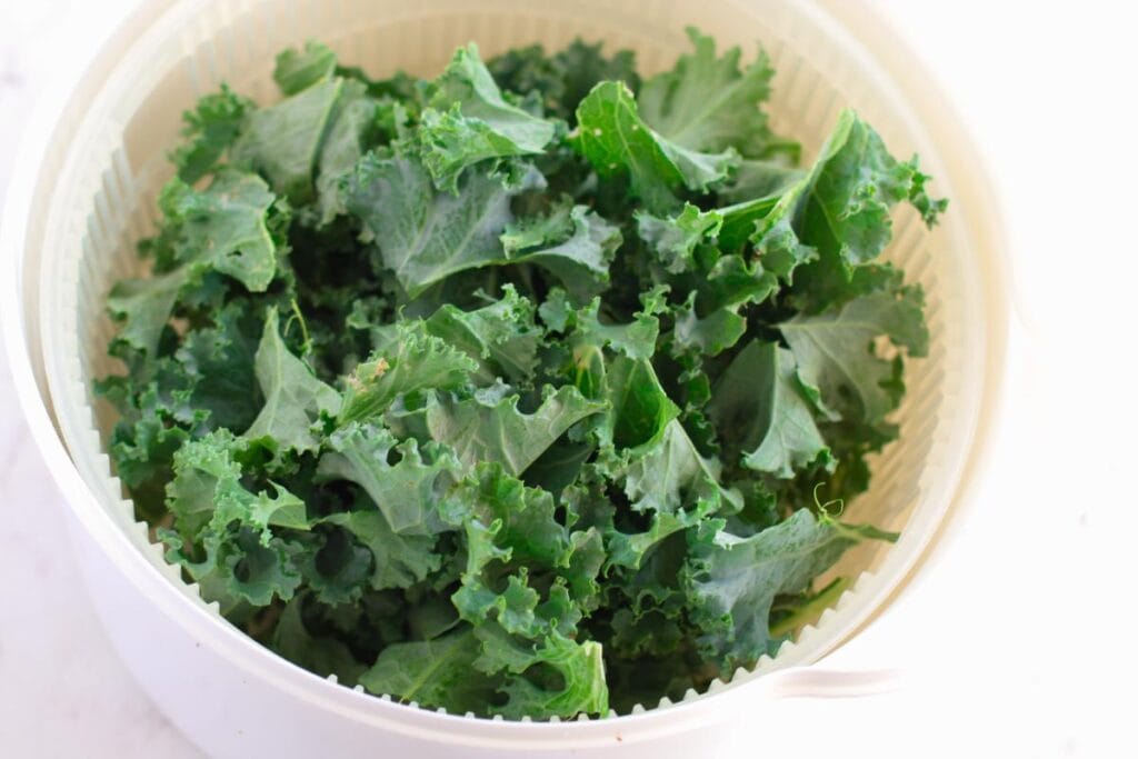 Washed kale leaves in strainer