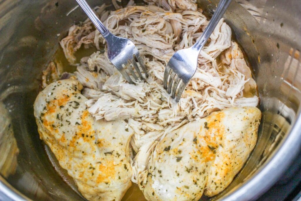 shredded chicken breast