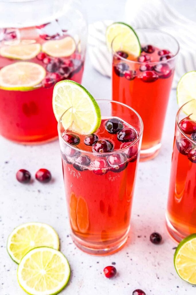 Cranberries and Lime Slices Mocktail
