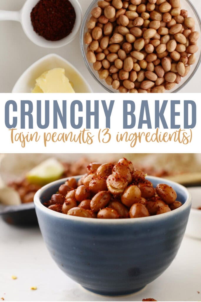 Crunchy Baked Tajin Peanuts Pins