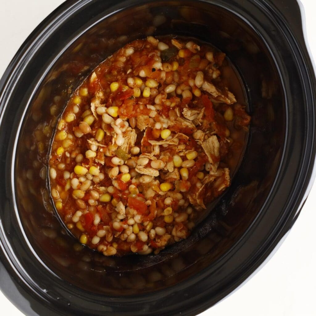 mixed salsa with chicken