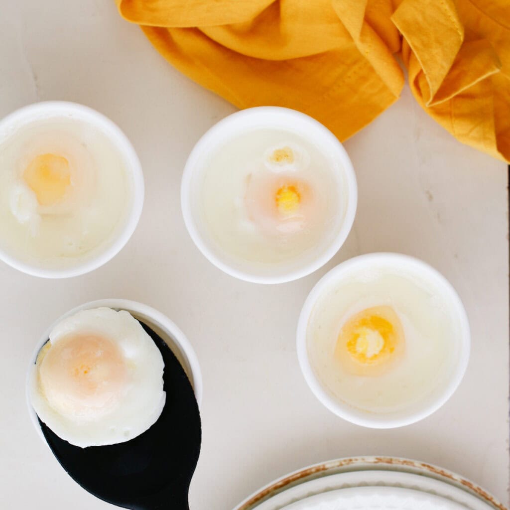 Putting poached eggs in container
