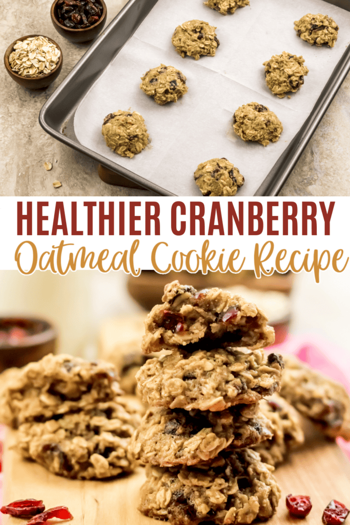 Healthy cranberry oatmeal cookie pin