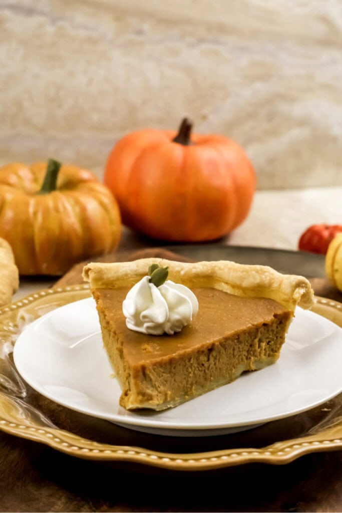 portrait slice of pumpkin pie
