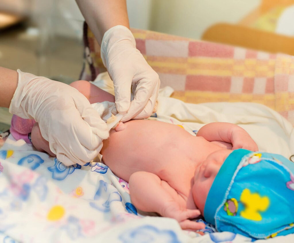 donor embryo programs