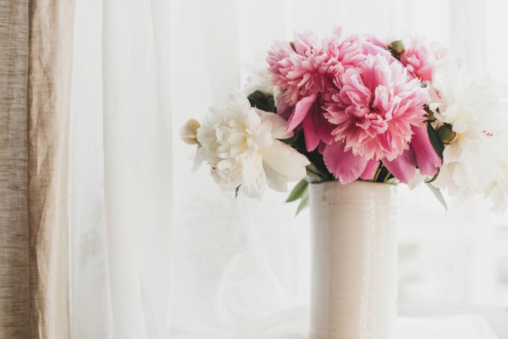 all about peonies