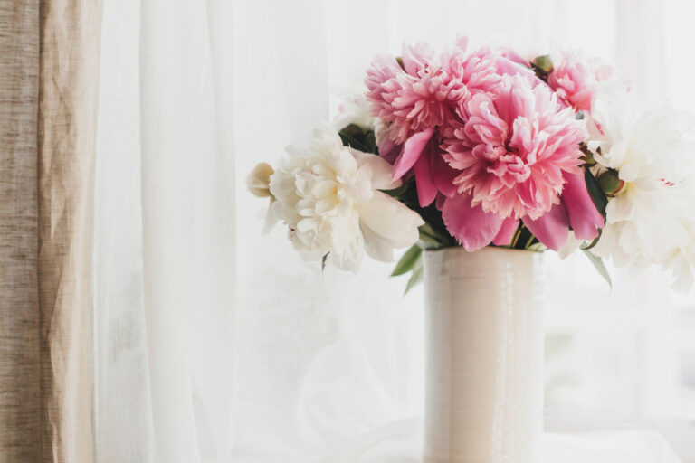 all about peonies