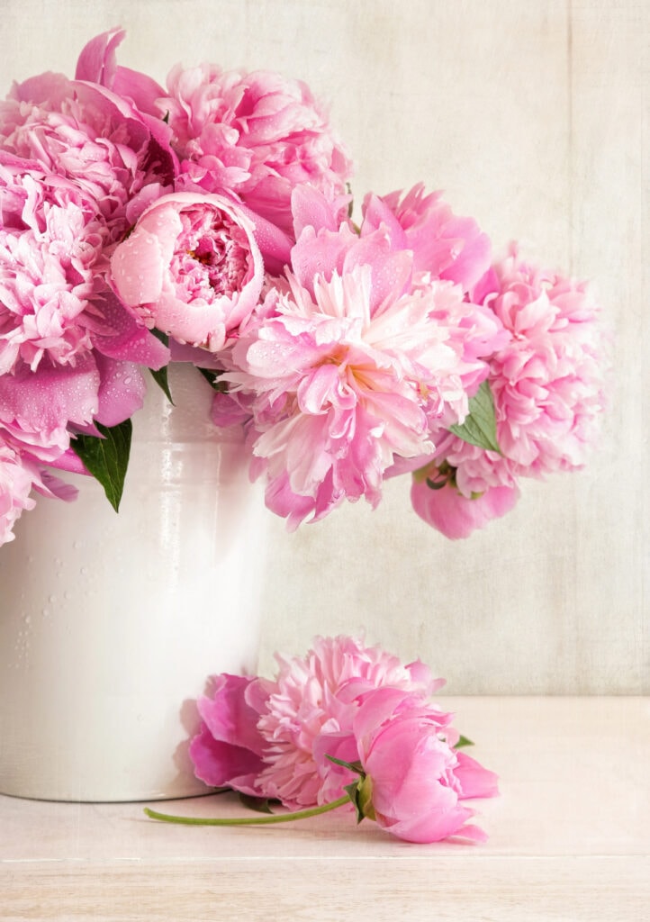 vase of peonies