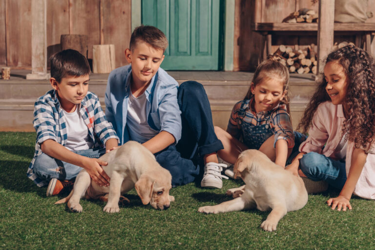 raising kids with animals